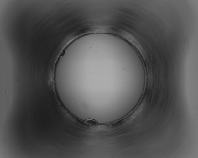 X0000100321481200806190953