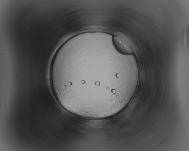 X0000100321482200806190953