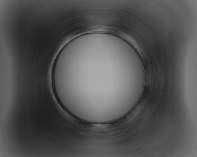 X0000100321483200806190953