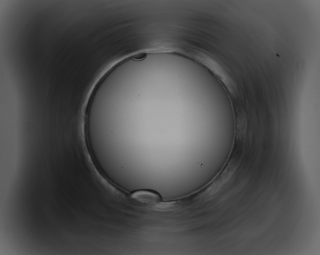 X0000100321484200806190952