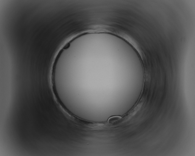 X0000100321485200806190952