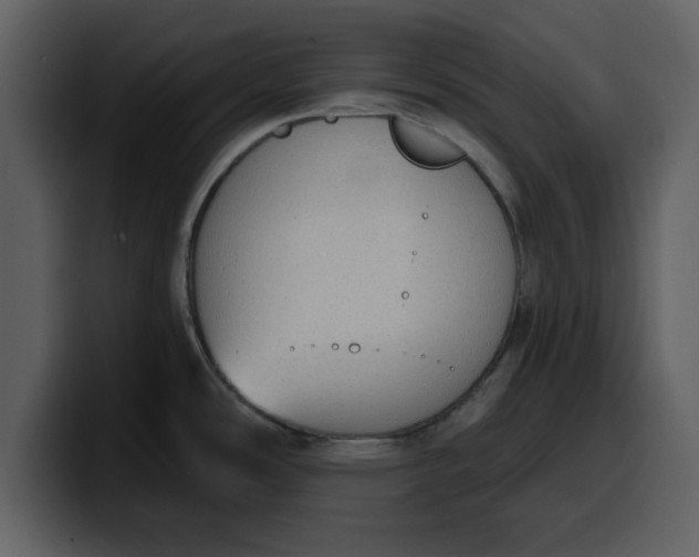 X0000100321486200806190952