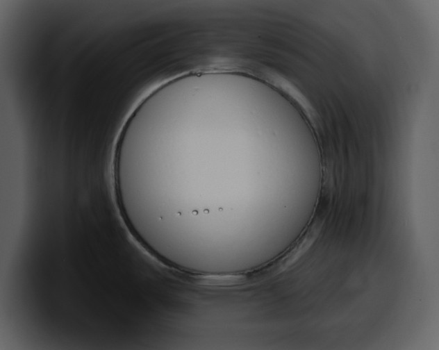 X0000100321487200806190952