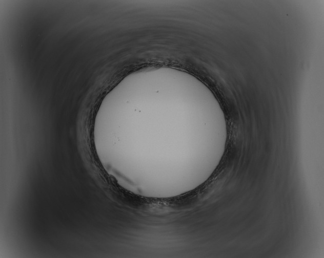 X0000100321489200806190952