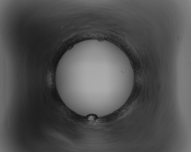 X0000100321490200806190952