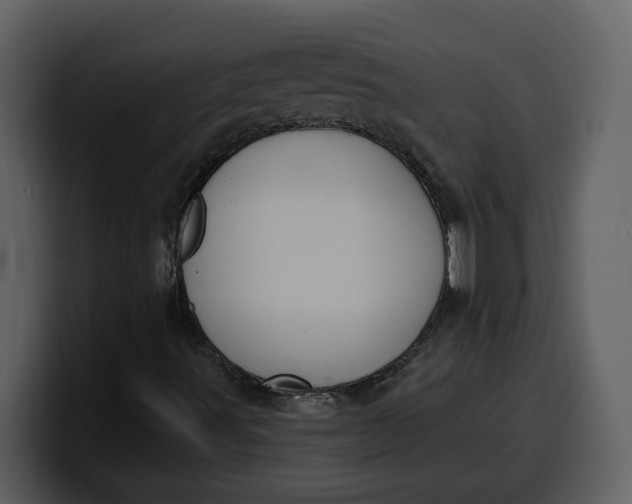 X0000100321491200806190952