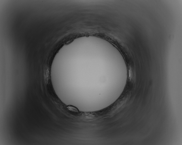 X0000100321492200806190952