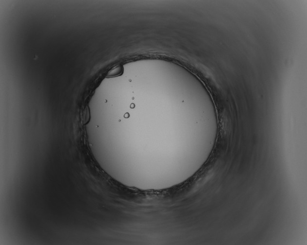 X0000100321494200806190952