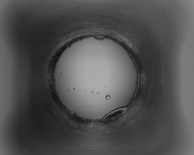 X0000100321496200806190952