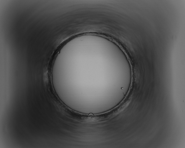 X0000100321497200806190952