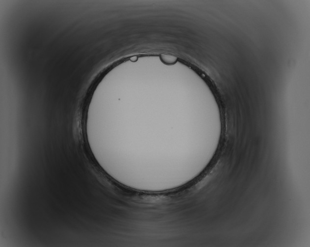 X0000100321498200806190952