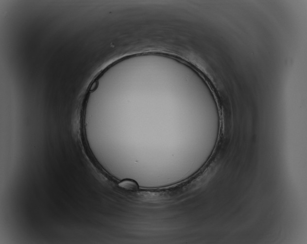 X0000100321500200806190952