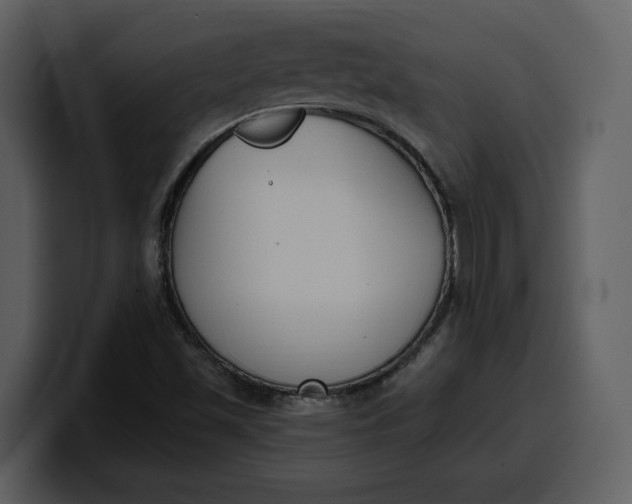 X0000100321501200806190952