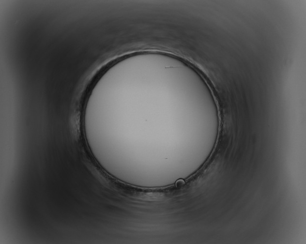 X0000100321503200806190952