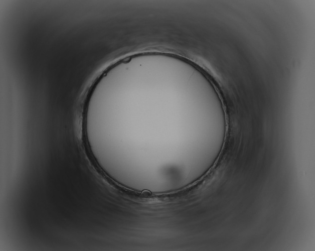 X0000100321504200806190952