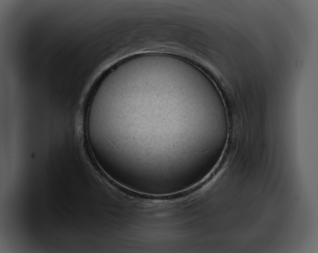 X0000100321506200806190952