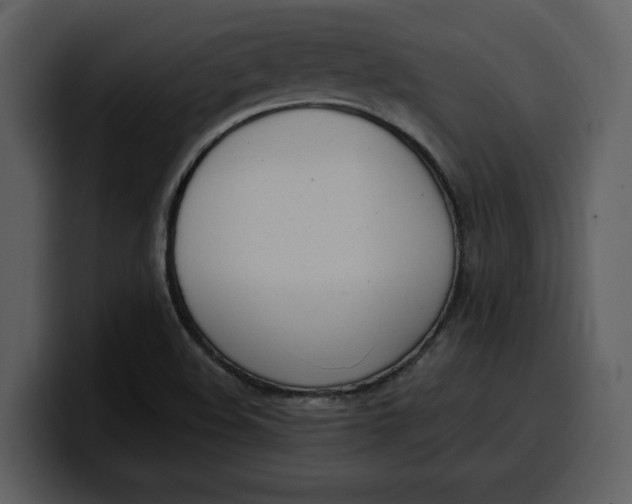 X0000100321508200806190952