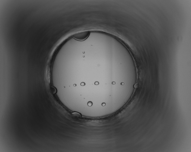 X0000100321510200806190952