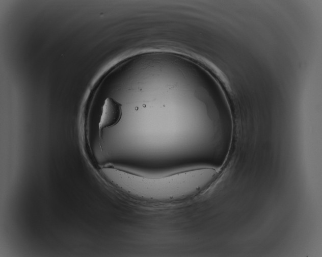 X0000100321514200806190952