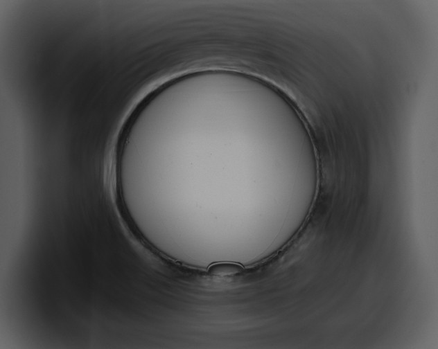 X0000100321515200806190952