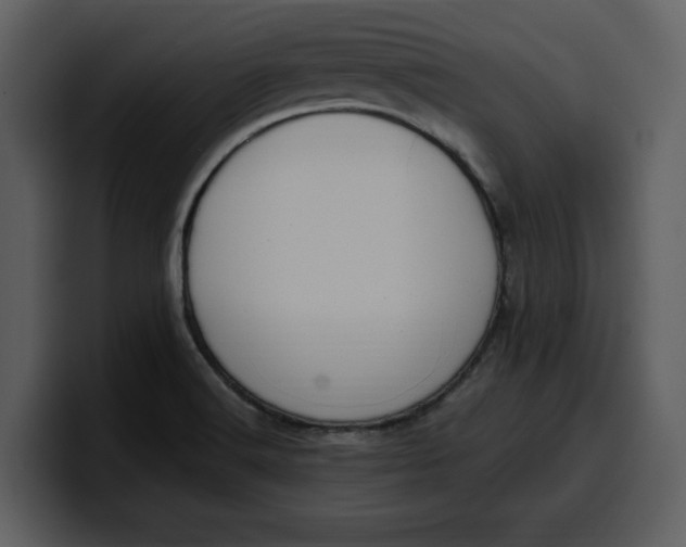 X0000100321516200806190952