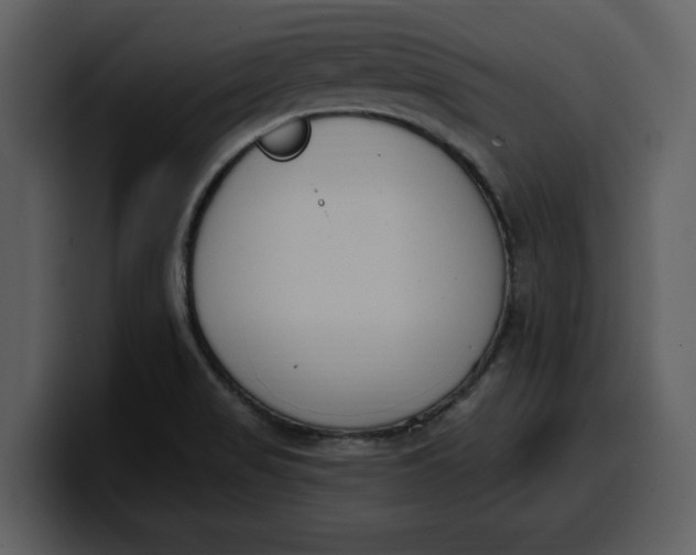 X0000100321517200806190952