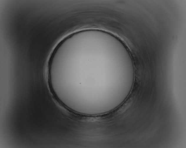 X0000100321519200806190952