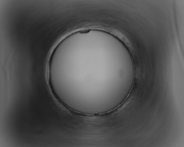 X0000100321520200806190952