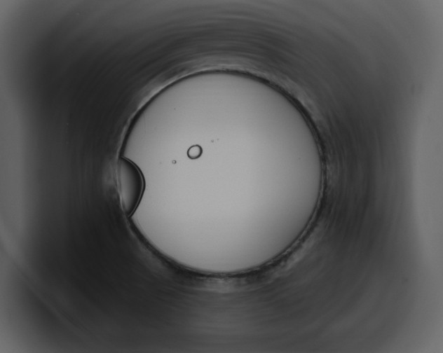 X0000100321521200806190952