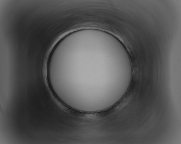 X0000100321523200806190952