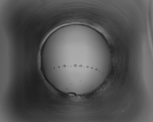 X0000100321524200806190952