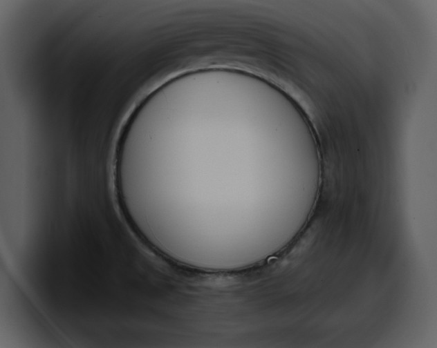 X0000100321525200806190952