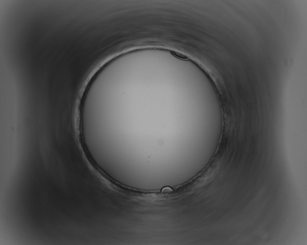 X0000100321527200806190952