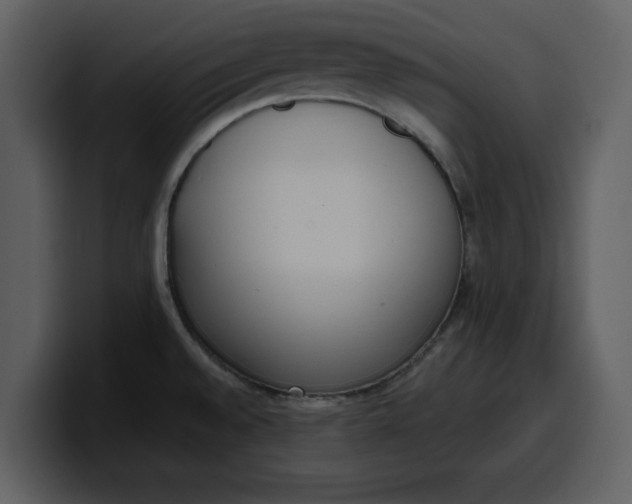 X0000100321528200806190952