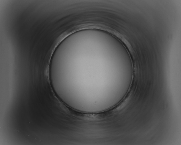 X0000100321529200806190952