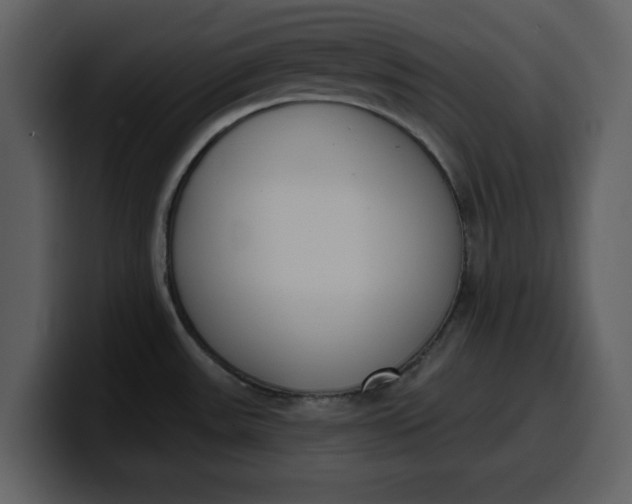 X0000100321531200806190952