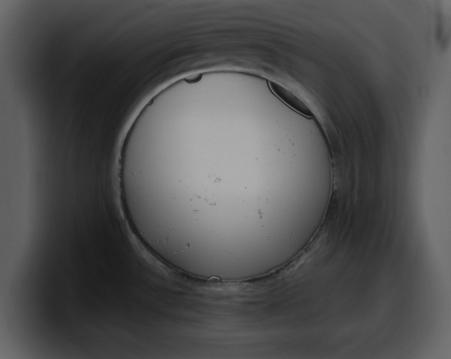 X0000100321532200806190952