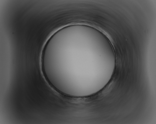 X0000100321533200806190952