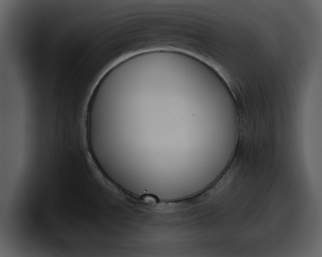 X0000100321534200806190952