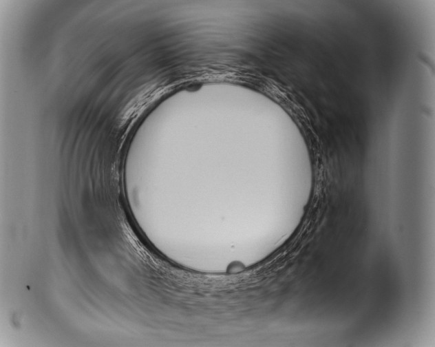 X0000100320002200806261237