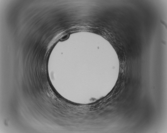 X0000100320004200806261237