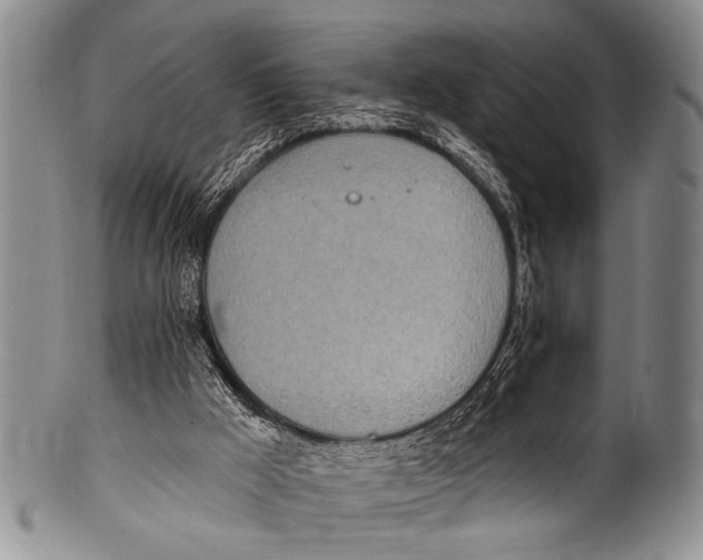 X0000100320009200806261237