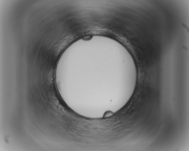 X0000100320010200806261237