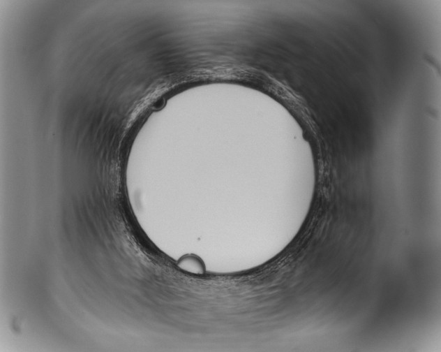 X0000100320012200806261237