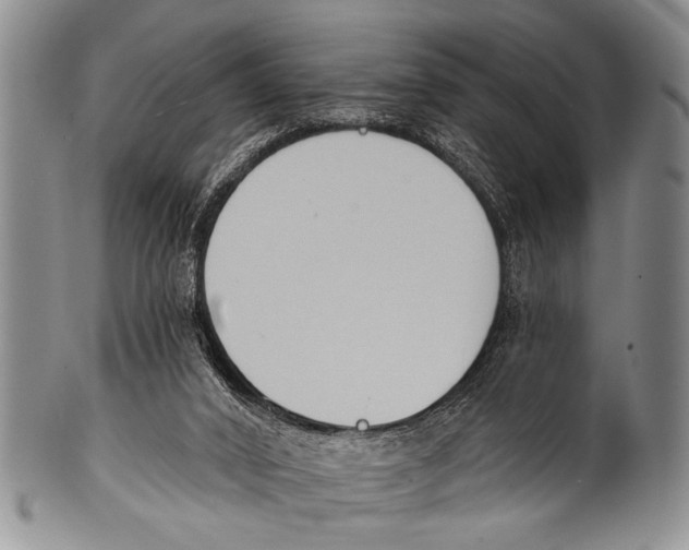 X0000100320016200806261237