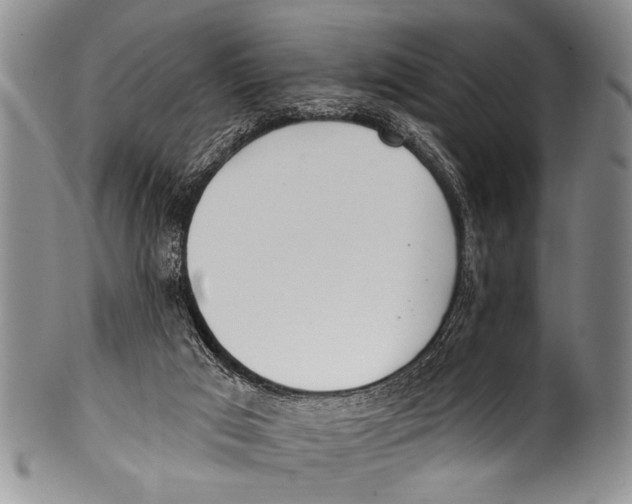 X0000100320017200806261237