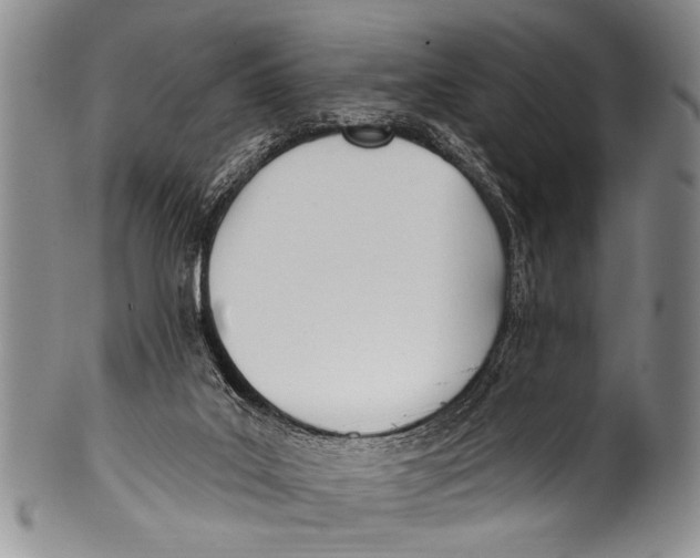 X0000100320019200806261237