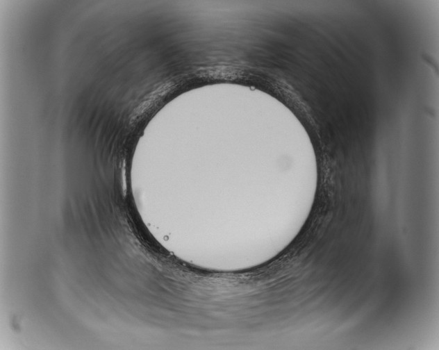 X0000100320020200806261237