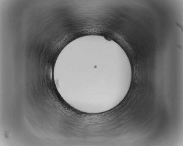 X0000100320021200806261237