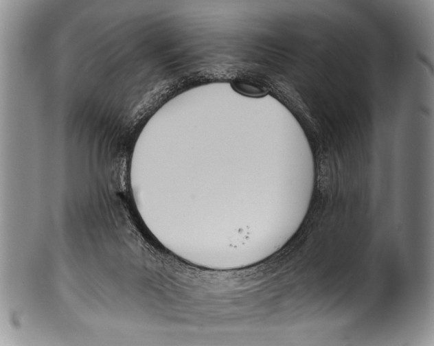 X0000100320023200806261237